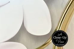 White Flower Tree Wallpaper 6 White Flower Tree Wallpaper -Wallpaper Mural Shop White Flower Tree Wallpaper Closeup About Murals