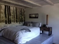 White Forest Wallpaper -Wallpaper Mural Shop White Forest Wallpaper Bedroom About Murals