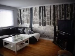 White Forest Wallpaper -Wallpaper Mural Shop White Forest Wallpaper Black Living Room About Murals
