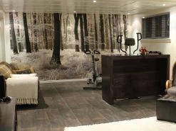 White Forest Wallpaper -Wallpaper Mural Shop White Forest Wallpaper Home Gym About Murals