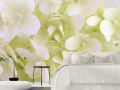 White Hydrangea Wallpaper