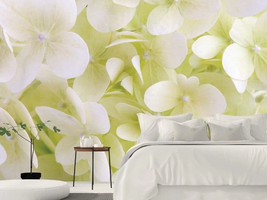 White Hydrangea Wallpaper 1 White Hydrangea Wallpaper