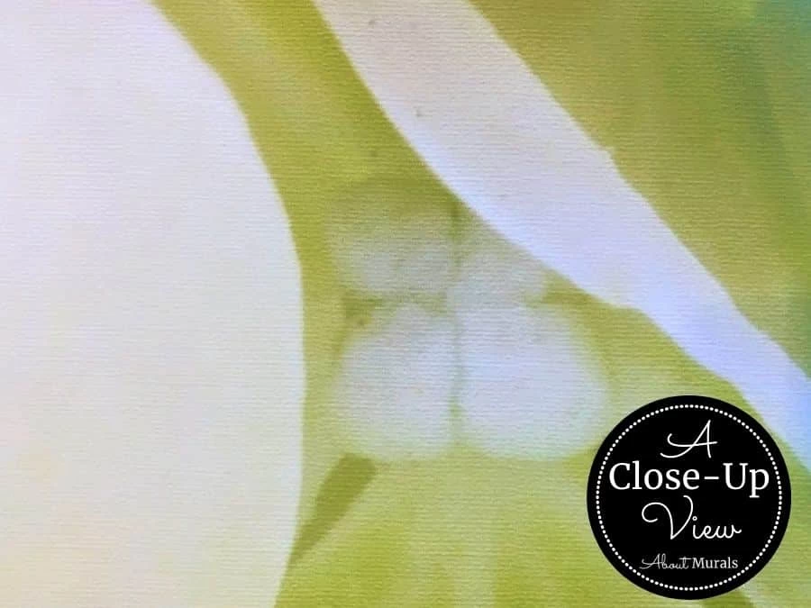 White Hydrangea Wallpaper 3 White Hydrangea Wallpaper - Image 3