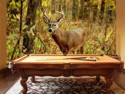 White Tailed Deer Wallpaper