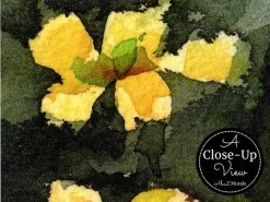 Wildflower Wallpaper 6 Wildflower Wallpaper -Wallpaper Mural Shop Wildflower Wallpaper Close up About Murals