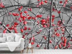 Winter Berry Wallpaper