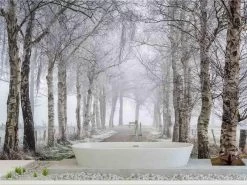 Winter Birch Trees Wallpaper