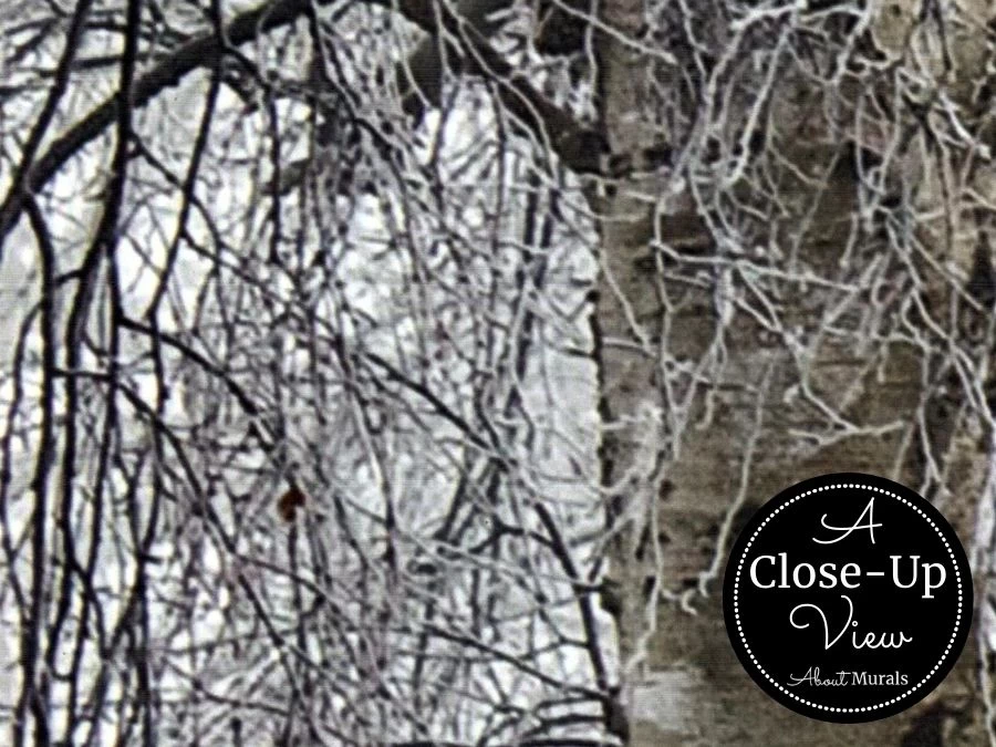 Winter Birch Trees Wallpaper 3 Winter Birch Trees Wallpaper - Image 3