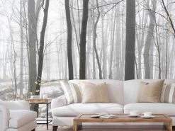 Winter Forest Wallpaper