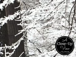 Winter Path Wallpaper 6 Winter Path Wallpaper -Wallpaper Mural Shop Winter Path Wallpaper Close up About Murals