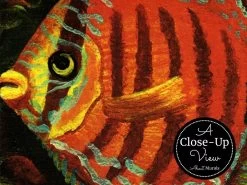 Wonders Of The Ocean Wall Mural 6 Wonders Of The Ocean Wall Mural -Wallpaper Mural Shop Wonders of the Ocean Wall Mural Close up About Murals