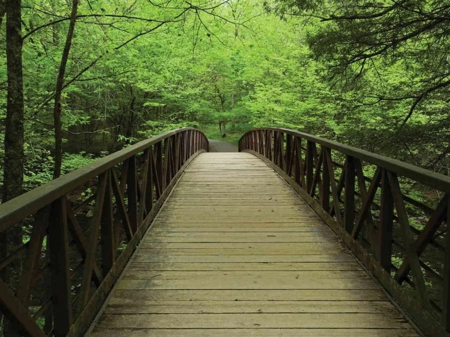 Wood Bridge Wallpaper 2 Wood Bridge Wallpaper - Image 2