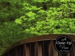 Wood Bridge Wallpaper 6 Wood Bridge Wallpaper -Wallpaper Mural Shop Wood Bridge Wallpaper Close up About Murals