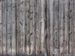 Wood Grain Wallpaper 7 Wood Grain Wallpaper -Wallpaper Mural Shop Wood Grain Wallpaper About Murals