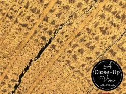 Wood Slice Wallpaper 8 Wood Slice Wallpaper -Wallpaper Mural Shop Wood Slice Wallpaper Close up About Murals