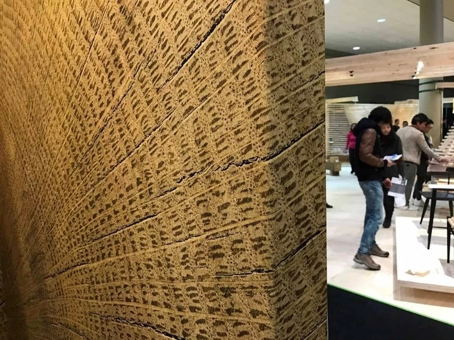 Wood Slice Wallpaper 5 Wood Slice Wallpaper - Image 5