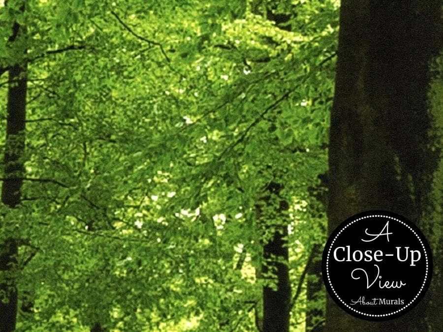 Woodland Forest Wallpaper 3 Woodland Forest Wallpaper - Image 3