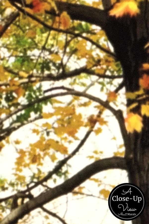 Yellow Forest Wallpaper 3 Yellow Forest Wallpaper - Image 3