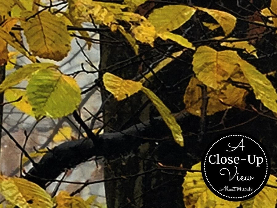 Yellow Trees Wallpaper 3 Yellow Trees Wallpaper - Image 3