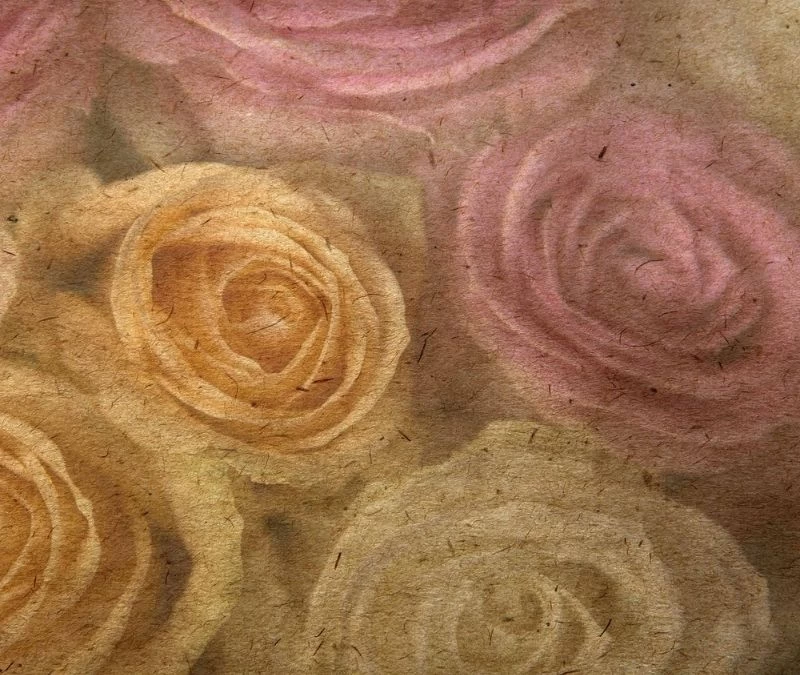 Yellow And Pink Roses Wallpaper 2 Yellow And Pink Roses Wallpaper - Image 2