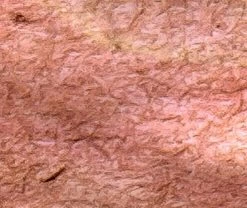 Yellow And Pink Roses Wallpaper 5 Yellow And Pink Roses Wallpaper -Wallpaper Mural Shop Yellow and Pink Roses Wallpaper Close up About Murals