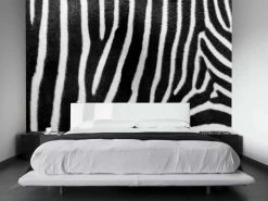 Zebra Print Wallpaper